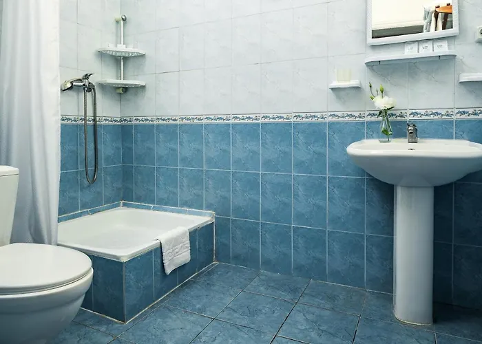 Hotel Tsentralnaya 2*